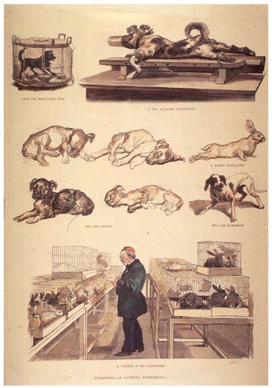 Animals 03 00238 g004 550