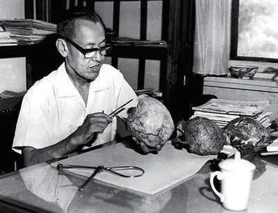 生物人类学（第二版）